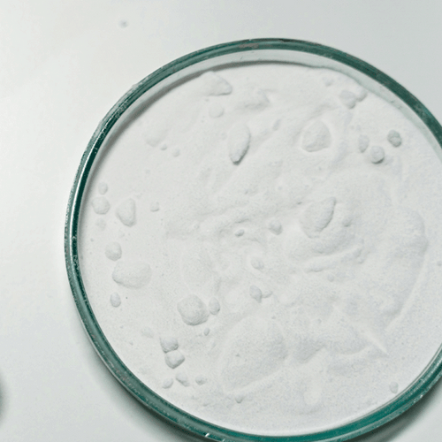 A petri dish filled with a zinc oxide, white powder sits on a bright surface, with small clumps and irregular textures visible on the powder's surface.