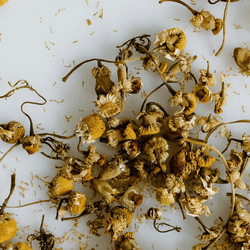 A close-up view of dried chamomile flowers scattered across a light background, showcasing their small, yellow, and white blooms along with thin, curled stems.