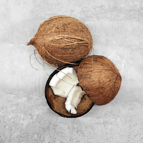 Two whole coconuts with their outer brown shells sitting on a light gray surface. One coconut is halved, revealing the white coconut flesh inside, contrasting with the brown inner shell.